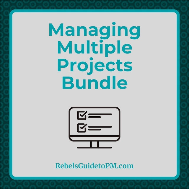 Managing Multiple Projects Template Bundle – Rebels Guide To Project ...
