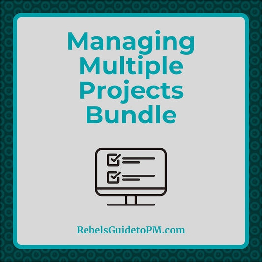 Managing Multiple Projects bundle