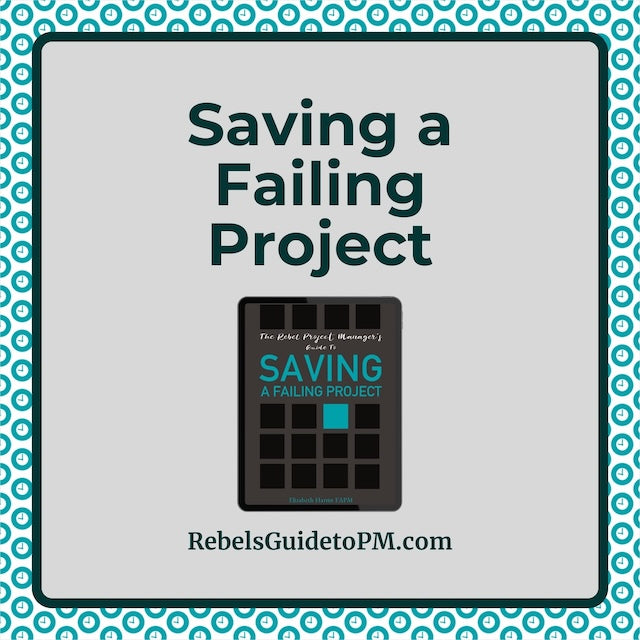 The Rebel Project Manager's Guide to Saving a Failing Project – Rebels ...