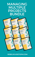 Managing Multiple Projects Template Bundle