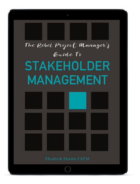 Rebel Project Manager's Guide to Stakeholder Management